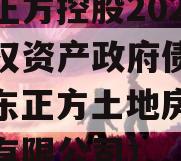 山东正方控股2023年债权资产政府债定融（山东正方土地房地产评估有限公司）