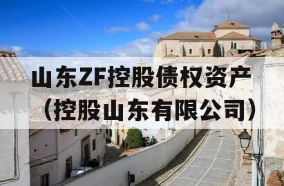 山东ZF控股债权资产（控股山东有限公司）