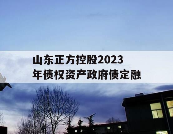 山东正方控股2023年债权资产政府债定融