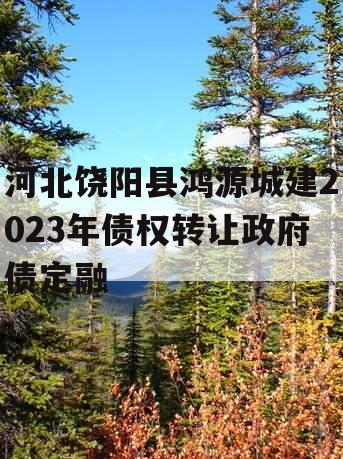 河北饶阳县鸿源城建2023年债权转让政府债定融