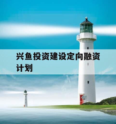 兴鱼投资建设定向融资计划