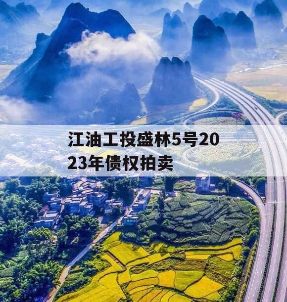 江油工投盛林5号2023年债权拍卖