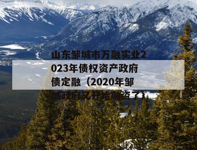 山东邹城市万融实业2023年债权资产政府债定融（2020年邹城政府又开始融资了）