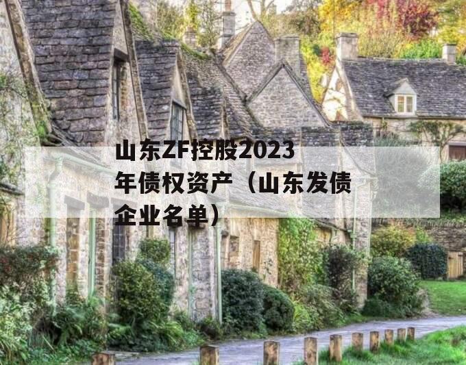 山东ZF控股2023年债权资产（山东发债企业名单）