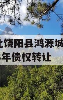 河北饶阳县鸿源城建2023年债权转让