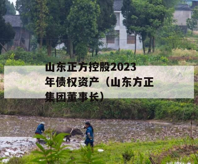 山东正方控股2023年债权资产（山东方正集团董事长）