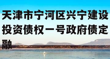 天津市宁河区兴宁建设投资债权一号政府债定融