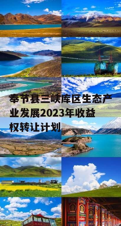 奉节县三峡库区生态产业发展2023年收益权转让计划