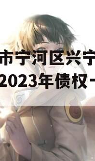 天津市宁河区兴宁建设投资2023年债权一号