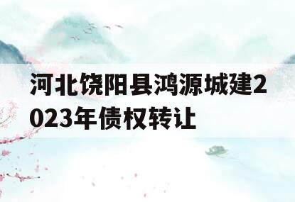 河北饶阳县鸿源城建2023年债权转让