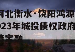 河北衡水·饶阳鸿源2023年城投债权政府债定融