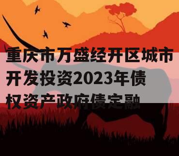 重庆市万盛经开区城市开发投资2023年债权资产政府债定融