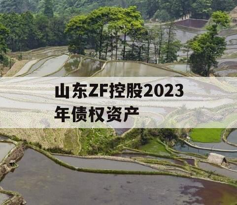 山东ZF控股2023年债权资产