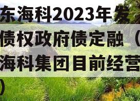 山东海科2023年发展债权政府债定融（山东海科集团目前经营状况）