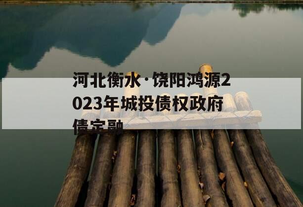 河北衡水·饶阳鸿源2023年城投债权政府债定融