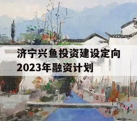 济宁兴鱼投资建设定向2023年融资计划