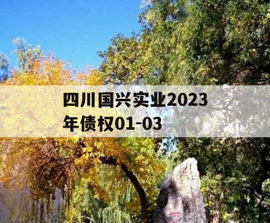 四川国兴实业2023年债权01-03