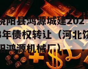 饶阳县鸿源城建2023年债权转让（河北饶阳鸿源机械厂）