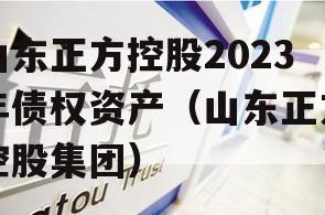 山东正方控股2023年债权资产（山东正方控股集团）