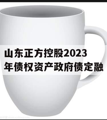 山东正方控股2023年债权资产政府债定融