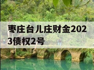 枣庄台儿庄财金2023债权2号