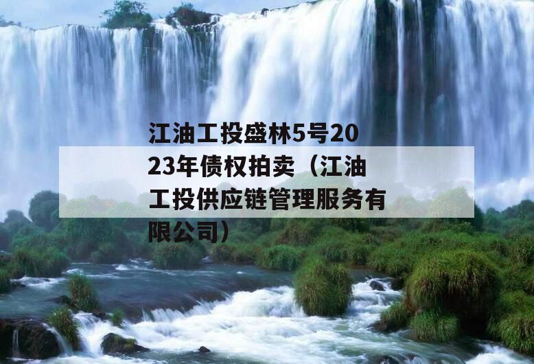 江油工投盛林5号2023年债权拍卖（江油工投供应链管理服务有限公司）