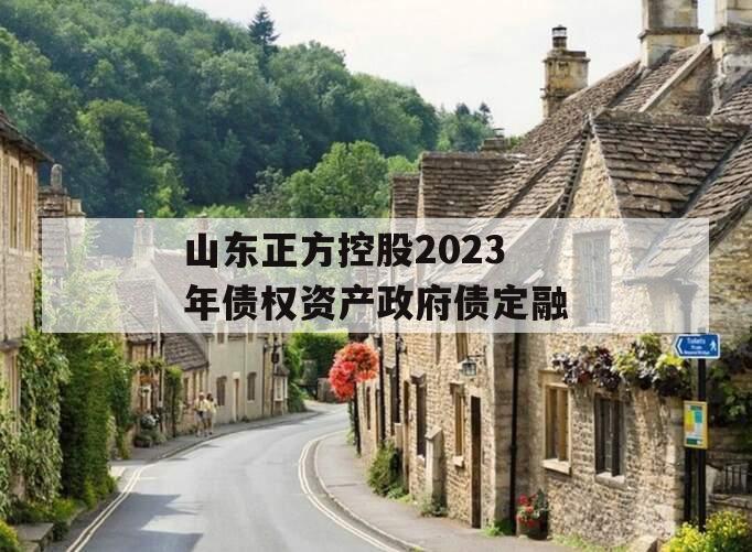 山东正方控股2023年债权资产政府债定融