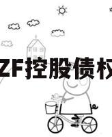 山东ZF控股债权资产