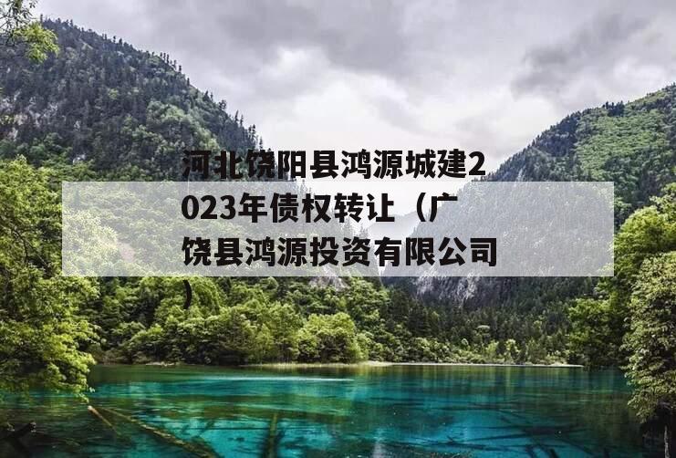 河北饶阳县鸿源城建2023年债权转让（广饶县鸿源投资有限公司）