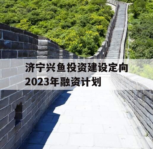 济宁兴鱼投资建设定向2023年融资计划