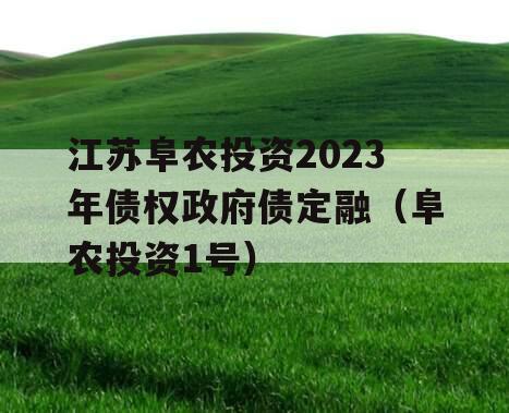 江苏阜农投资2023年债权政府债定融（阜农投资1号）