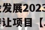 成都都江堰智慧城市运营建设发展2023年债权转让项目【二】政府债定融