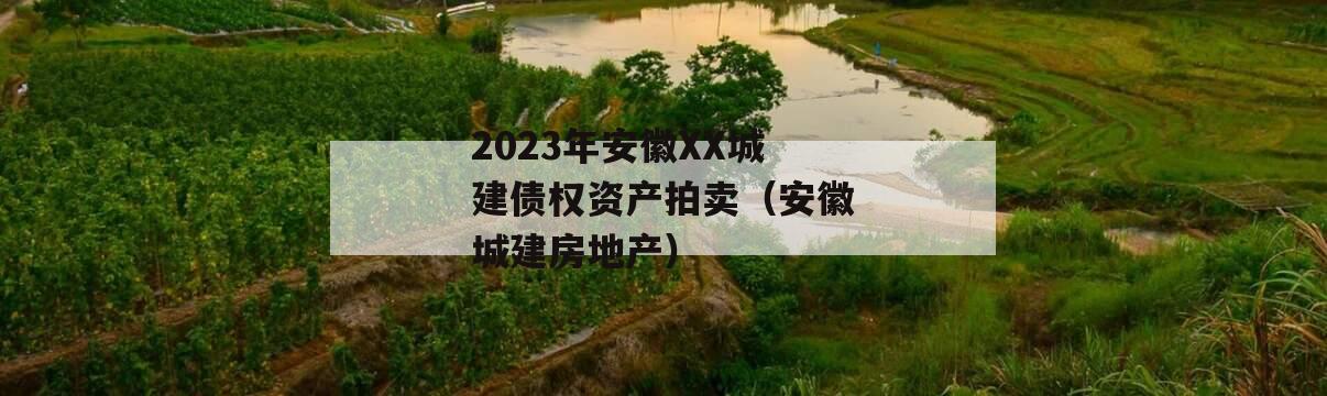 2023年安徽XX城建债权资产拍卖（安徽城建房地产）