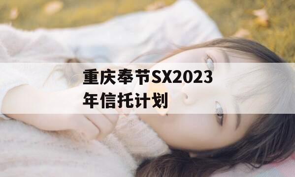 重庆奉节SX2023年信托计划