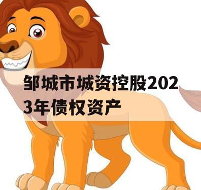 邹城市城资控股2023年债权资产