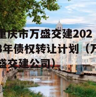 重庆市万盛交建2023年债权转让计划（万盛交建公司）