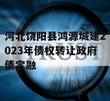 河北饶阳县鸿源城建2023年债权转让政府债定融