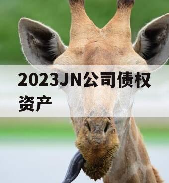 2023JN公司债权资产