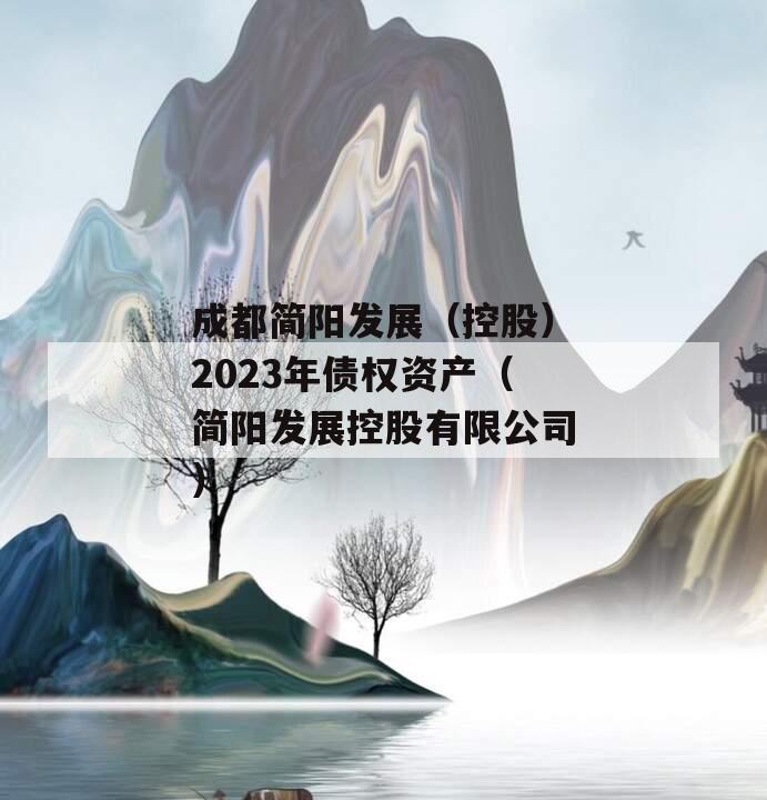 成都简阳发展（控股）2023年债权资产（简阳发展控股有限公司）