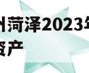 滨州菏泽2023年债权资产