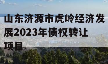 山东济源市虎岭经济发展2023年债权转让项目