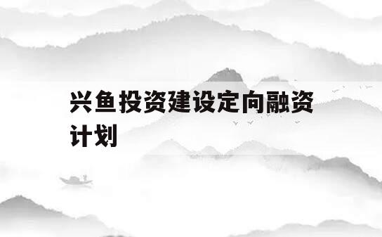 兴鱼投资建设定向融资计划