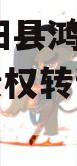 河北饶阳县鸿源城建2023年债权转让政府债定融