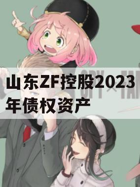 山东ZF控股2023年债权资产