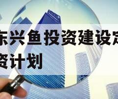 山东兴鱼投资建设定向融资计划