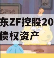 山东ZF控股2023年债权资产