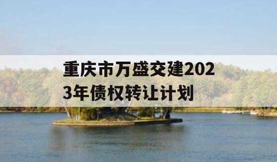 重庆市万盛交建2023年债权转让计划