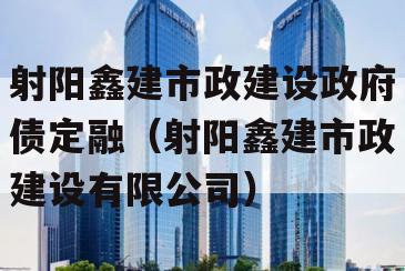 射阳鑫建市政建设政府债定融（射阳鑫建市政建设有限公司）