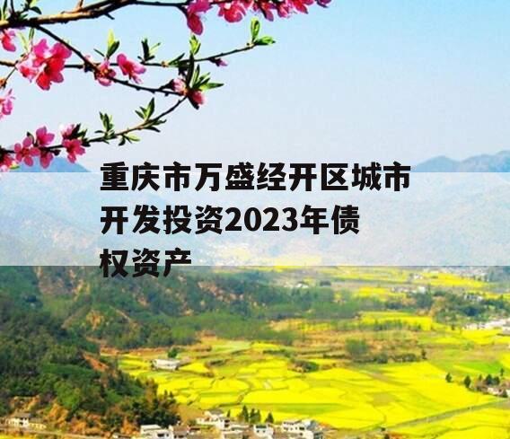 重庆市万盛经开区城市开发投资2023年债权资产