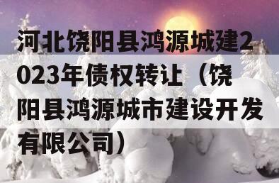 河北饶阳县鸿源城建2023年债权转让（饶阳县鸿源城市建设开发有限公司）